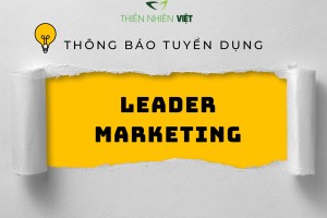 Tuyển dụng Leader Marketing